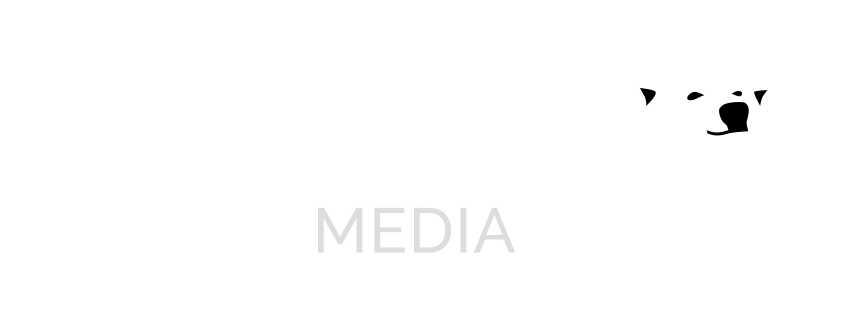Polaris Media GmbH Logo
